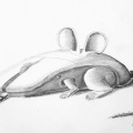Computeraus - Computermouse