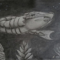 Unterwasser Lebensform - Underwater Life Foem 