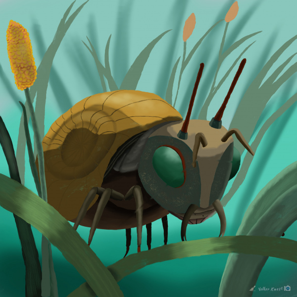 insectoid life form.jpg