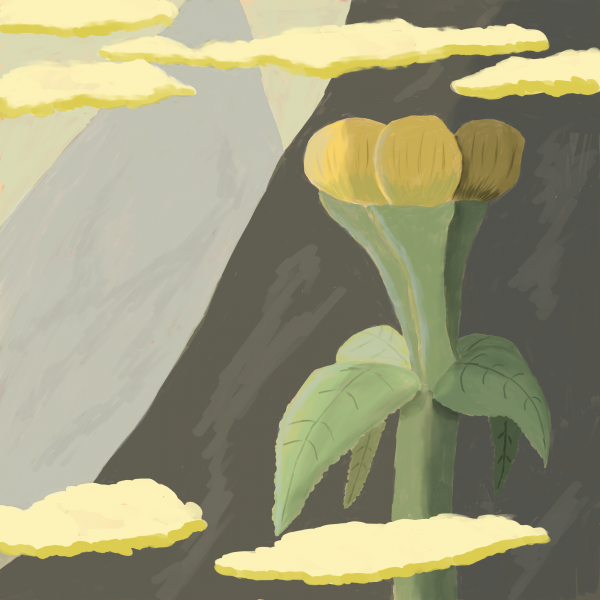 studie 2.png