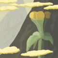 Studie 2 - Study 2